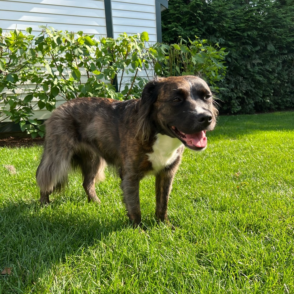 Meet your Posher, Sadie